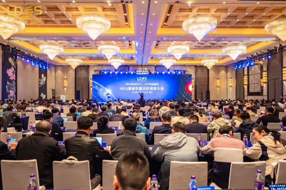 公司技术总监金翼博士受邀出席2023首届中国长时储能大会